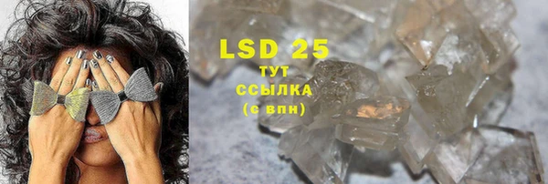 ECSTASY Каменка
