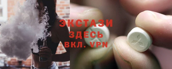 ECSTASY Каменка
