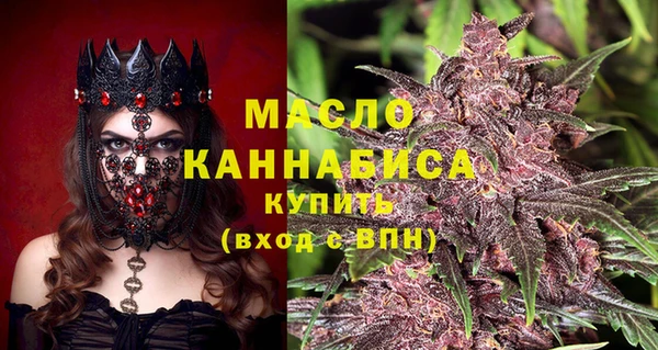 ECSTASY Каменка